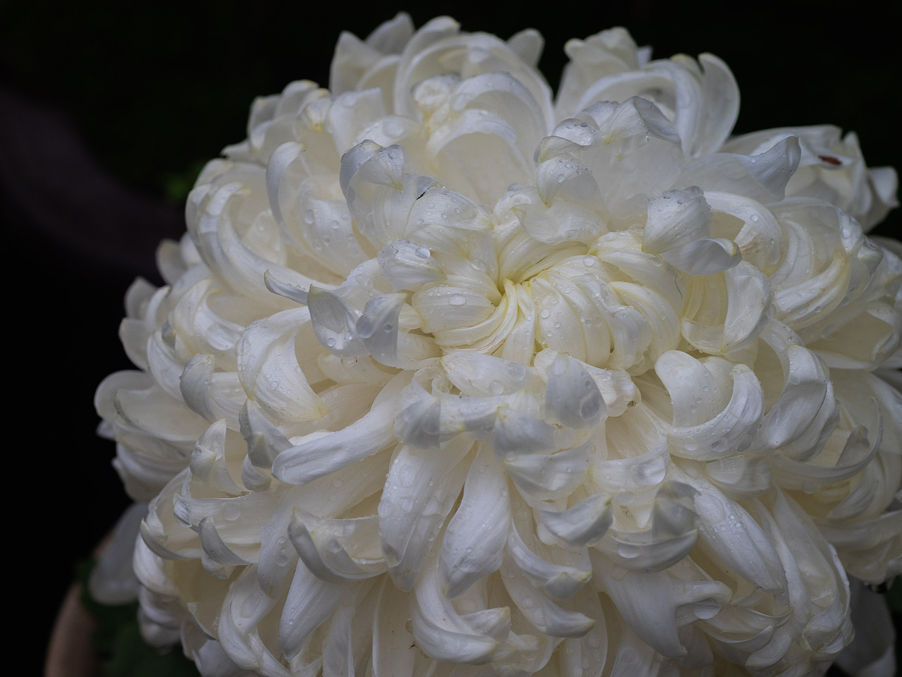 共青森林公园秋天的景色