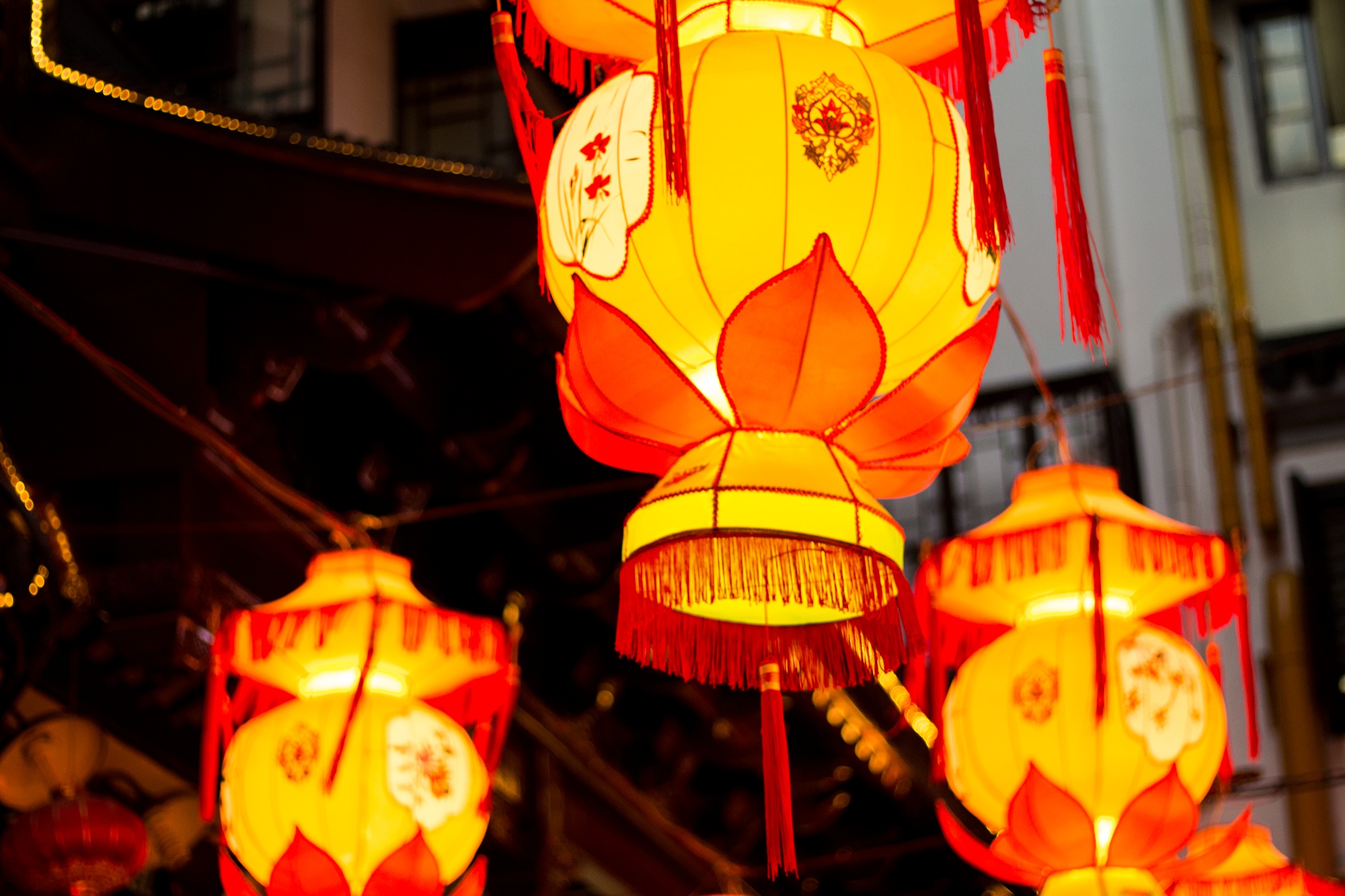 陪你去看花灯|摄影|风光|方军 - 原创作品 - 站酷 (zcool)