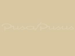 Pusa&Pusua