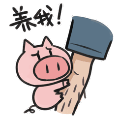 动态表情包-为什么是猪呢