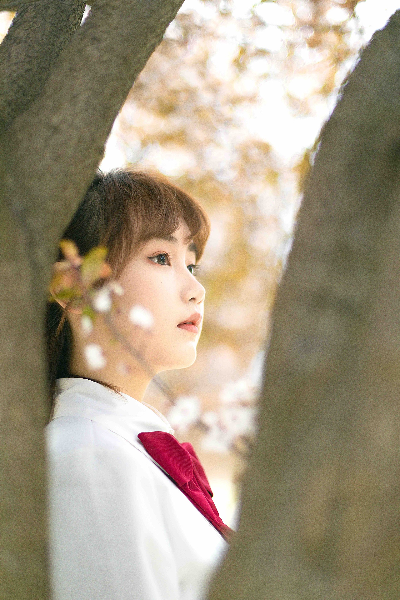 ｜ 阴天晚樱 ｜（图ZMjAwNDc5Mjg4） - 人像摄影 - 站酷设计师如素素呀原创素材 - 站酷ZCOOL