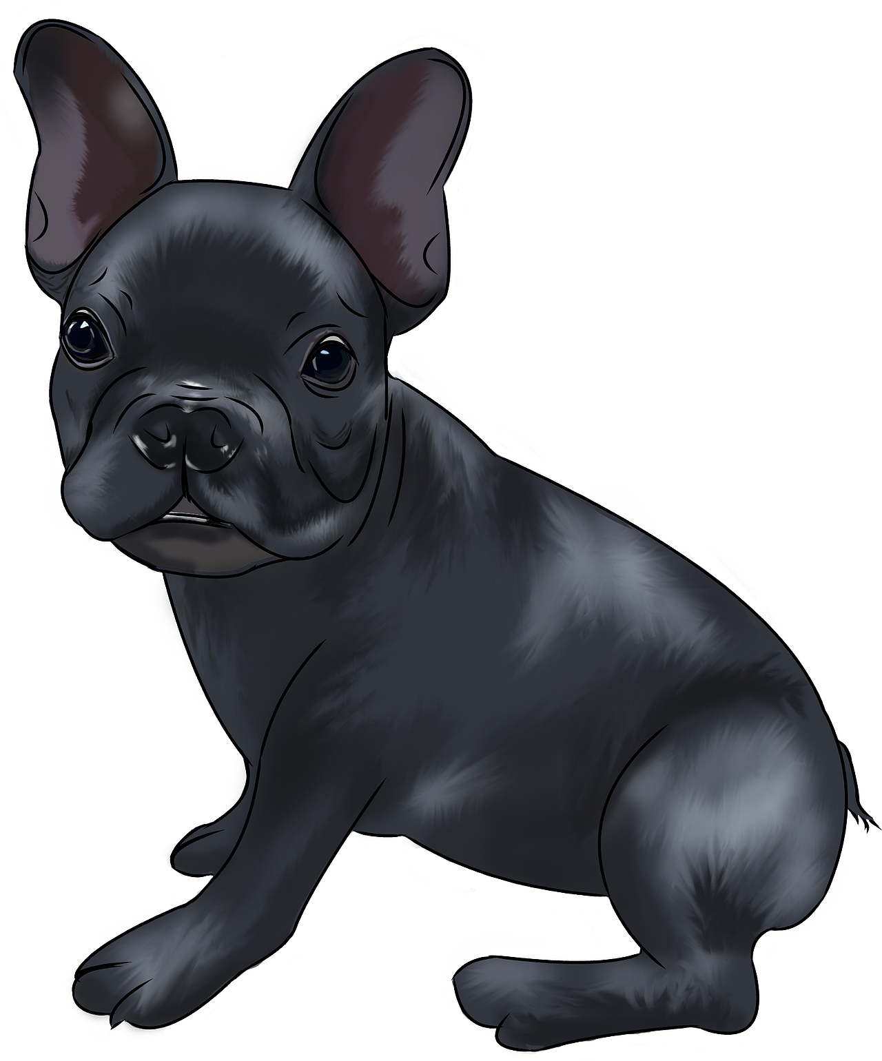 日常草图犬类插画分享（图ZMjI3ODQ0MjEy） - 创作习作 - 站酷设计师SilverBB原创素材 - 站酷ZCOOL