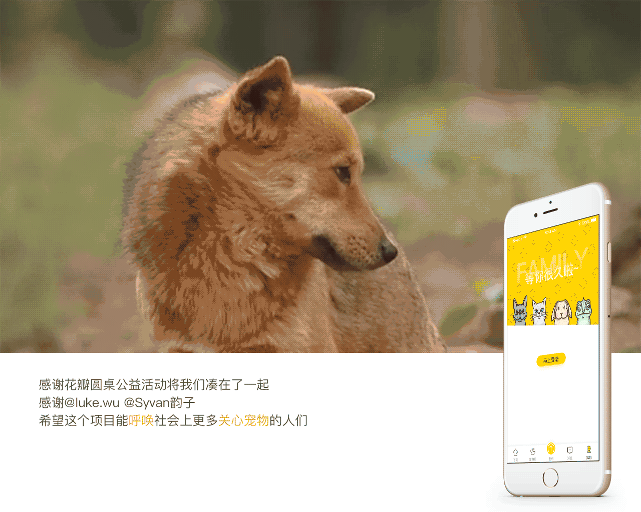 【UI/UX】花火圆桌-宠物领养项目活动（第6组参赛）（图ZMTA5MTE5NjAw） - 交互/UE - 站酷设计师Babysaliva原创素材 - 站酷ZCOOL