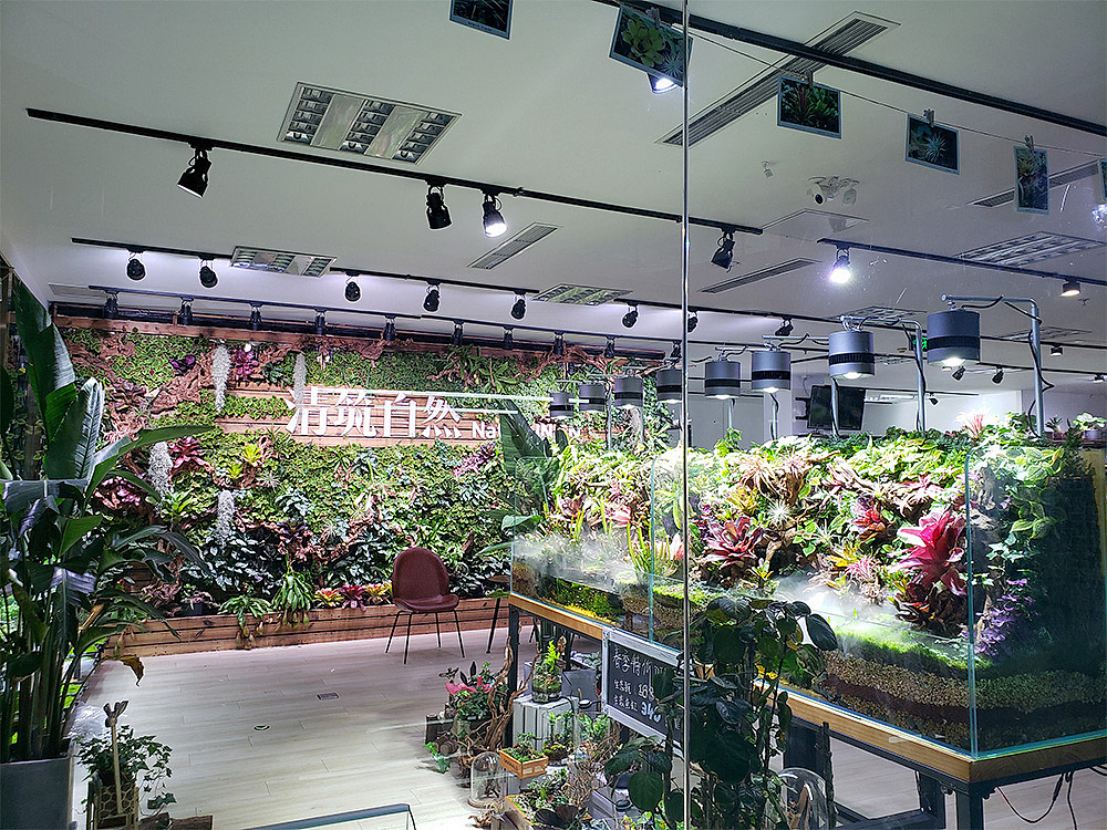 清筑自然 | 巨幅雨林墙（图ZMTgwNzE2MjQ0） - 景观设计 - 站酷设计师YAN_莹儿原创素材 - 站酷ZCOOL