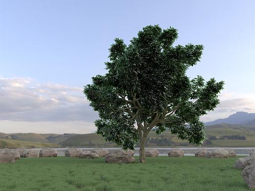 c4d自然湖邊場(chǎng)景（個(gè)人主頁-ZNTA4MjEyNTI=） - 場(chǎng)景 - 站酷設(shè)計(jì)師效果圖制作XFind原創(chuàng)素材 - 站酷ZCOOL