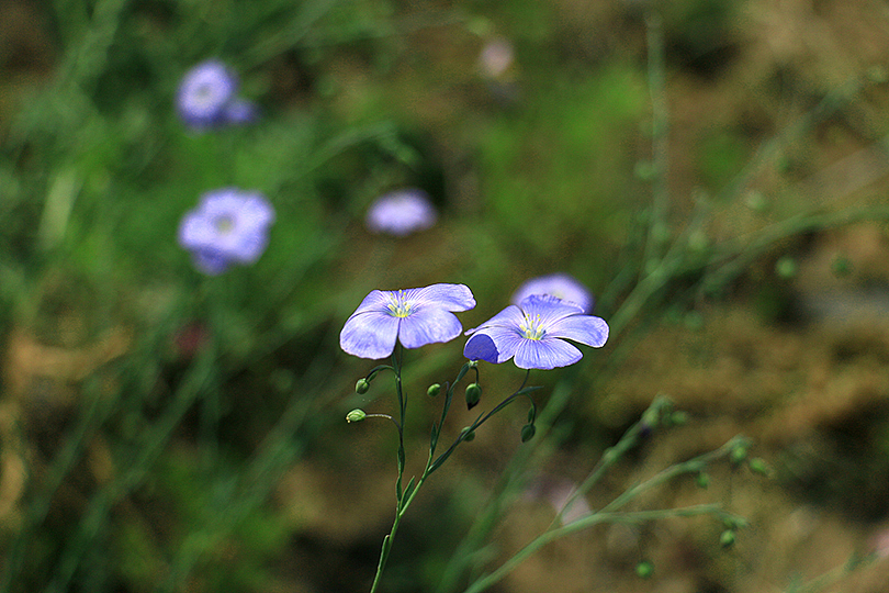 请你告诉我,你叫什么名字