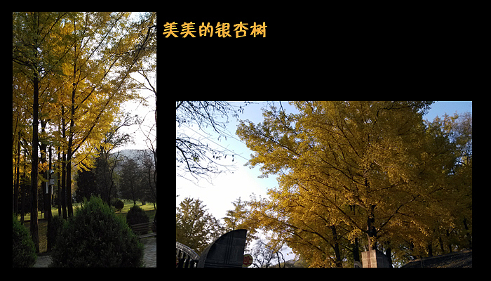 马师傅红色之旅（中）（图ZMTM4MDg0MDQ=） - 创作习作 - 站酷设计师mamayao原创素材 - 站酷ZCOOL