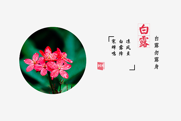 二十四节气明信片