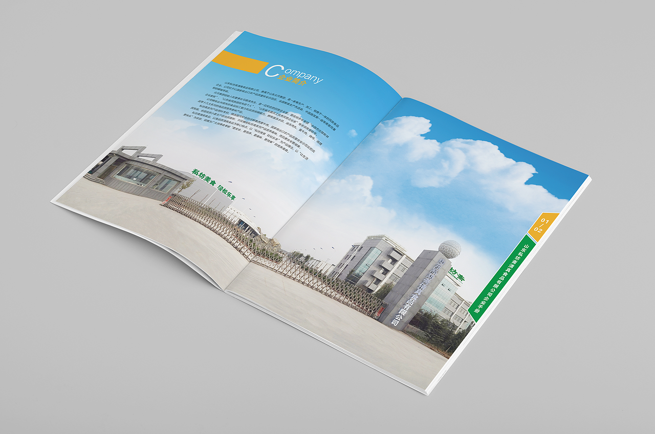 清真食品企业画册——肥尸的菜鸟之路 第一期