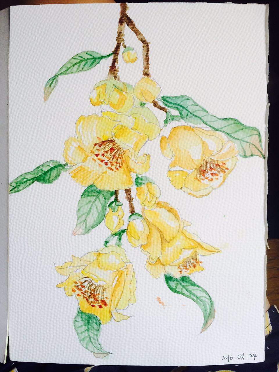 水粉和水彩之插画练习