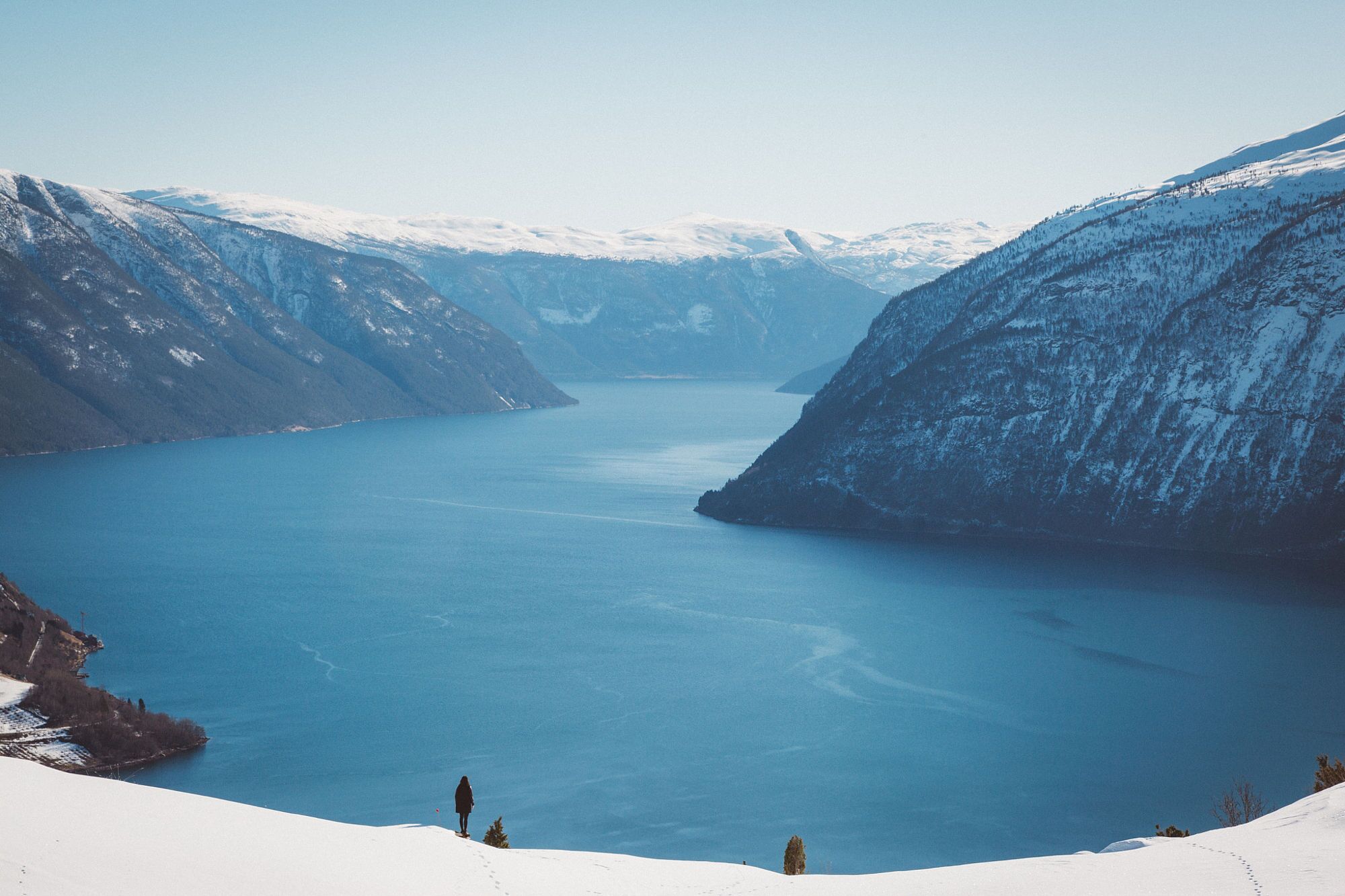 _Fresness的個人主頁（封面預(yù)覽） - 主頁封面設(shè)置 - 站酷設(shè)計(jì)師_Fresness原創(chuàng)素材 - 站酷ZCOOL