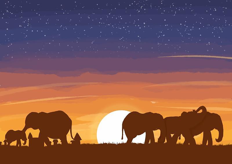 大象迁徙|插画|商业插画|粥粥八宝 - 原创作品 - 站酷 (zcool)