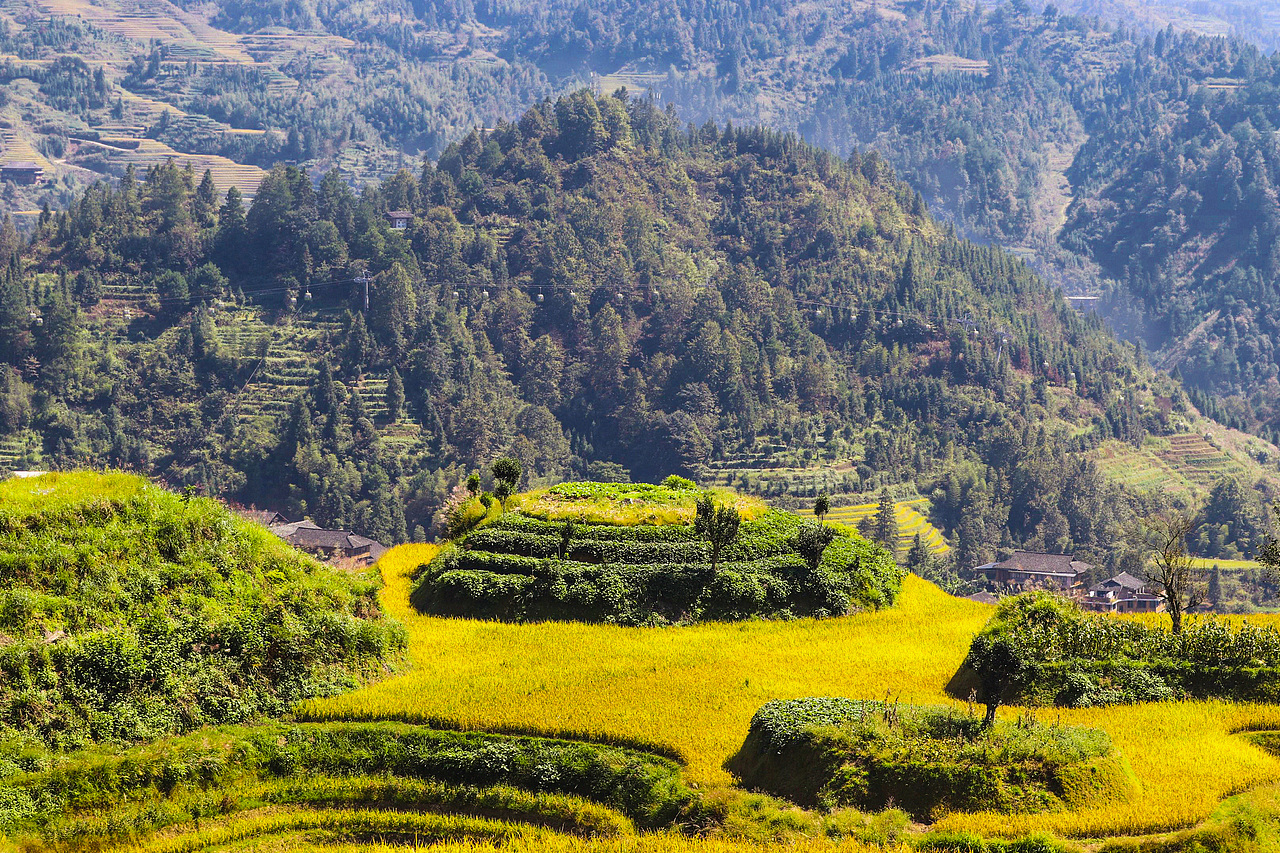 龙胜梯田（图ZMTMxNjIzMDEy） - 风光摄影 - 站酷设计师realZT原创素材 - 站酷ZCOOL