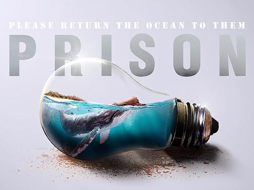 环保公益合成海报·座头鲸的监狱（附步骤）