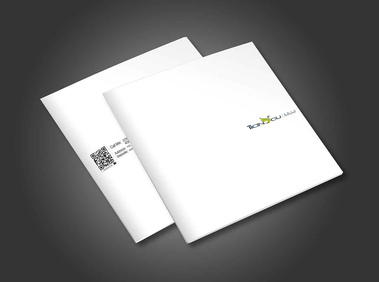 毕业后在公司设计的画册