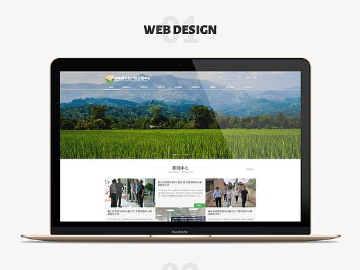 网站-农村产权交易中心