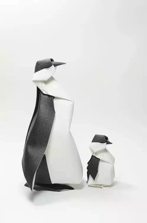 越南折纸艺术家Hoang Tien Quyet的湿法折纸（图ZNTMxMTQxMjA=） - 其他手工艺 - 站酷设计师无敌浩哥原创素材 - 站酷ZCOOL