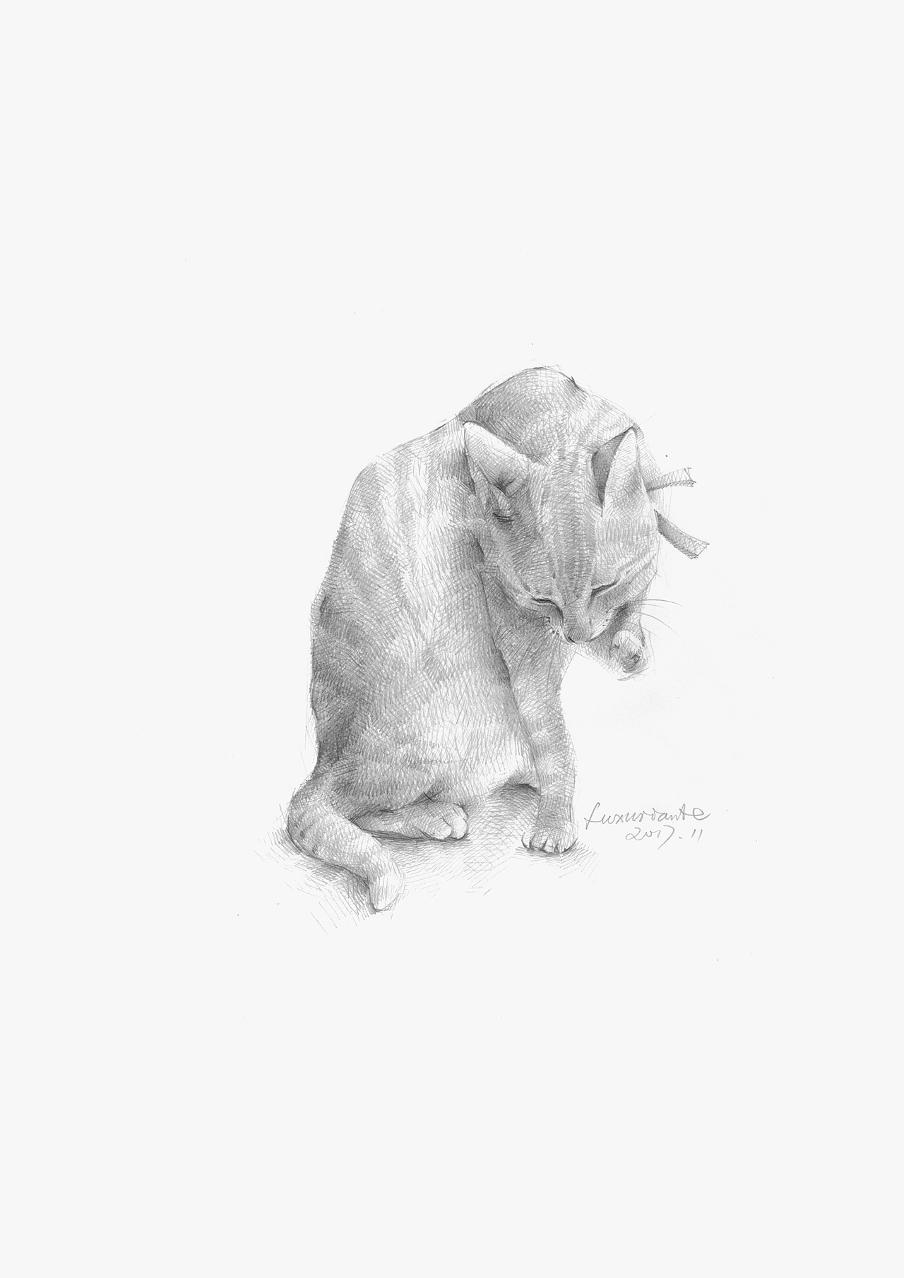 [meow]一只喵。（圖ZMTIzMjIwMDYw） - 創(chuàng)作習作 - 站酷設計師鉛筆末末原創(chuàng)素材 - 站酷ZCOOL