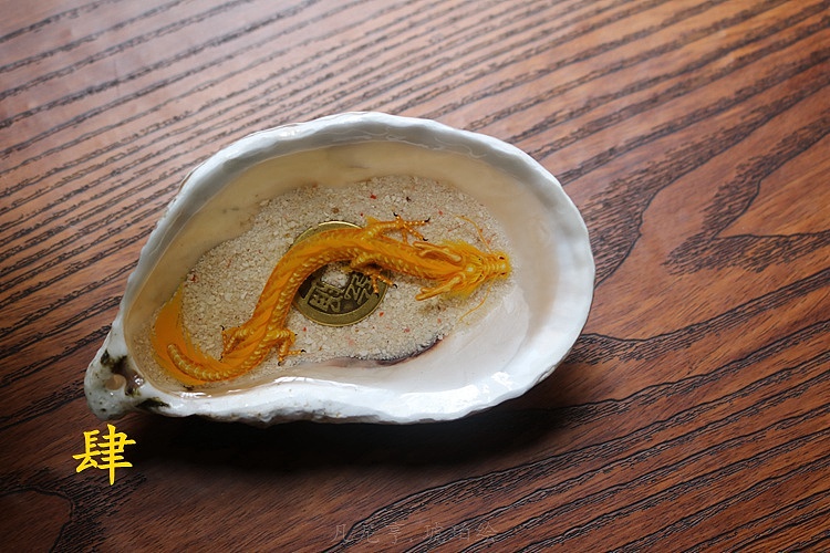 生蚝壳里面的小金龙|手工艺|其他手工艺|凡尼亨_原创作品-站酷zcool