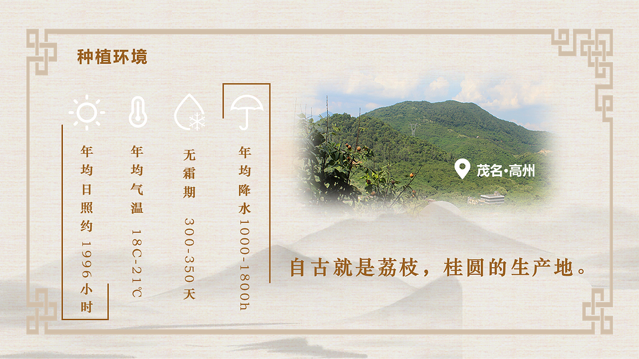 高州桂圆产品介绍PPT（图ZMjUwNDM5NzQ4） - PPT/Keynote - 站酷设计师尼玛帅原创素材 - 站酷ZCOOL