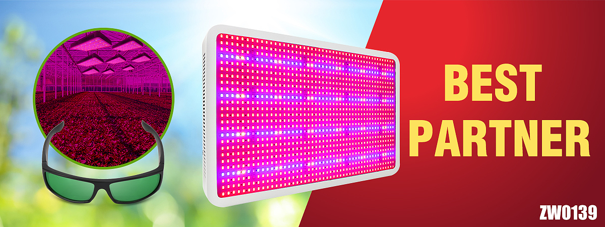 外贸设计（图ZMTQ2NDY2ODAw） - 个人网站 - 站酷设计师popop4原创素材 - 站酷ZCOOL