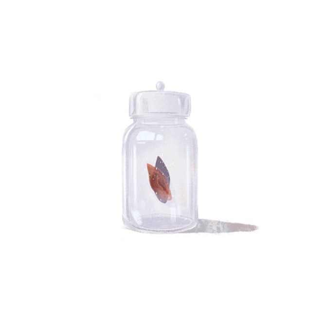 《她的他的它的耳朵》（图ZODUwOTE5MTI=） - 艺术插画 - 站酷设计师中鸟ZhongNiao原创素材 - 站酷ZCOOL