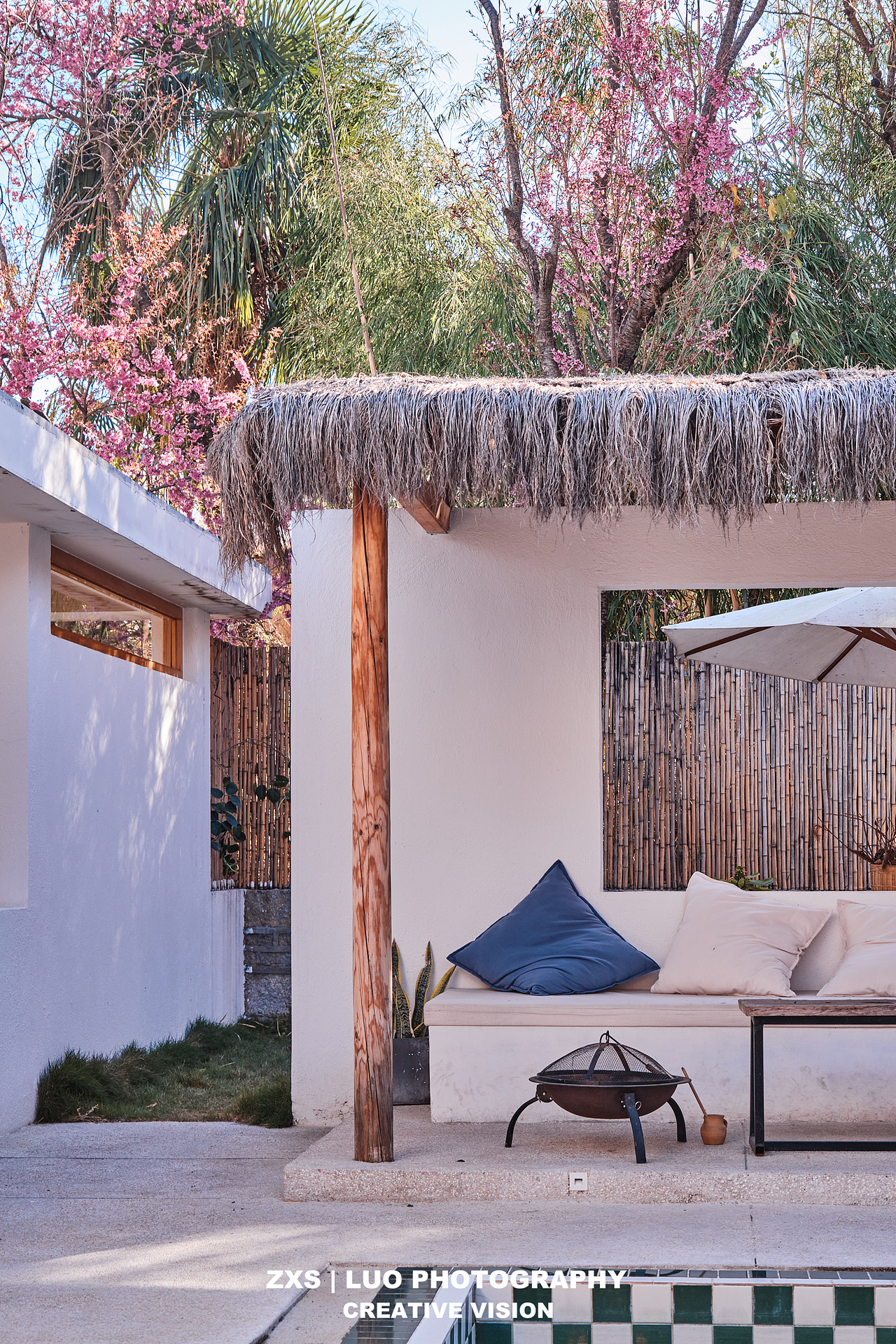 民宿摄影 大理果树民宿