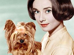 老照片上色练习