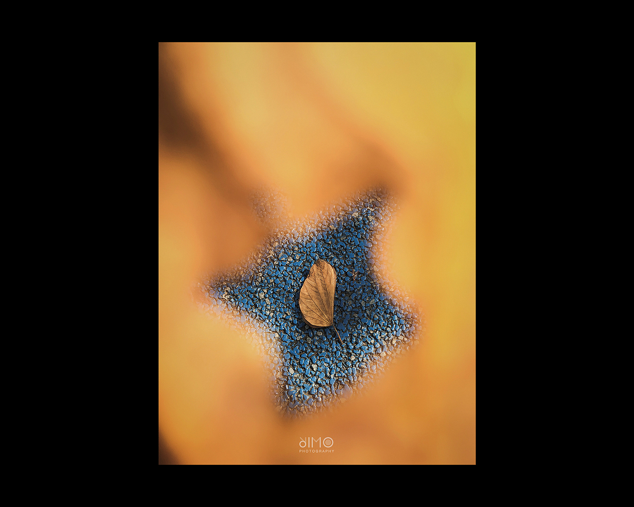 2019 | 手机摄影合集