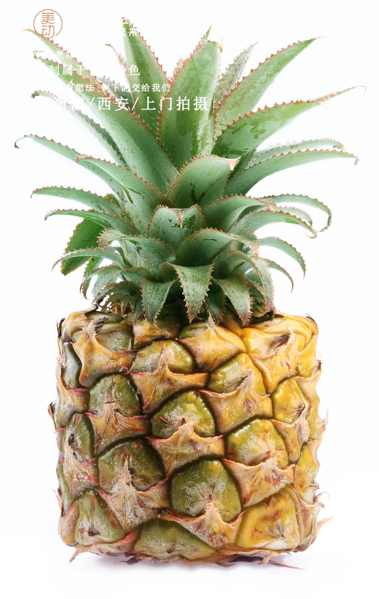 一个菠萝的旅行,怎么去拍