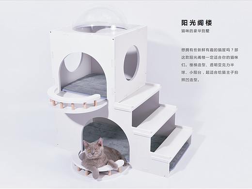 宠物产品设计2019