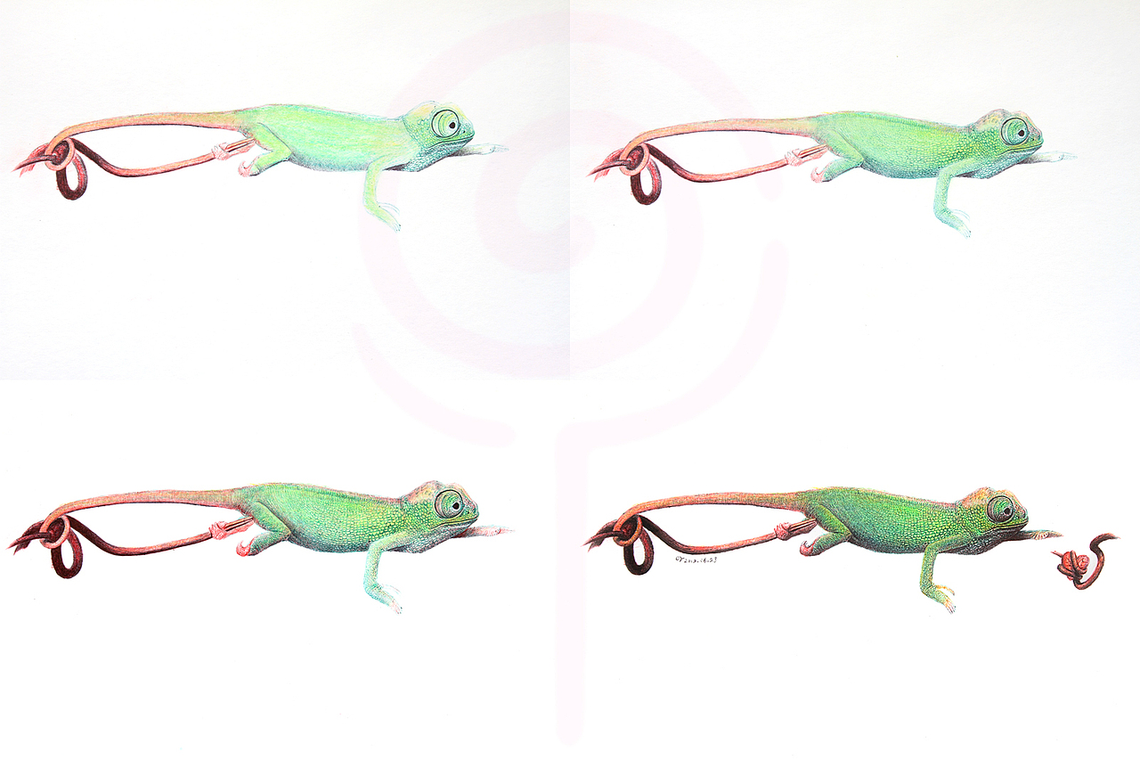 OY手绘:近期习作、圆珠笔画、彩铅画、涂鸦...