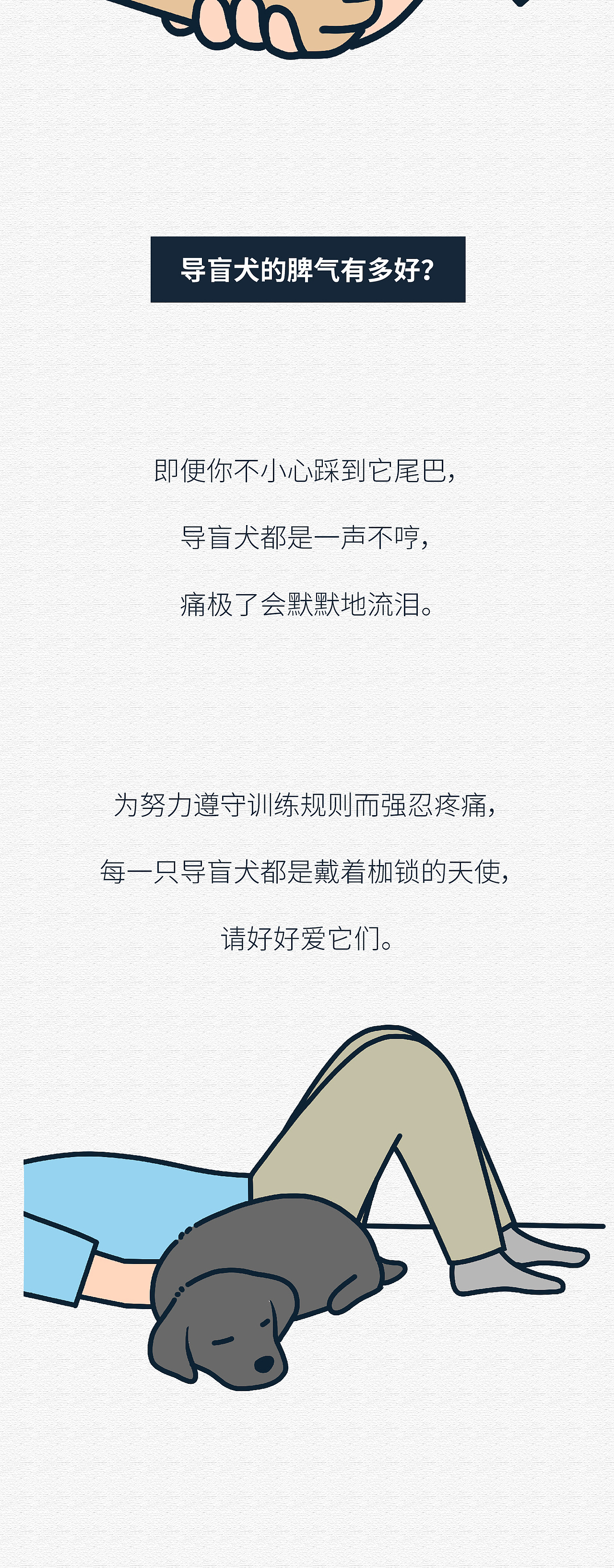 你支持导盲犬进公共场所吗？（图ZMjA2Mjc4NjQw） - 商业插画 - 站酷设计师插画师王秋裤呀原创素材 - 站酷ZCOOL