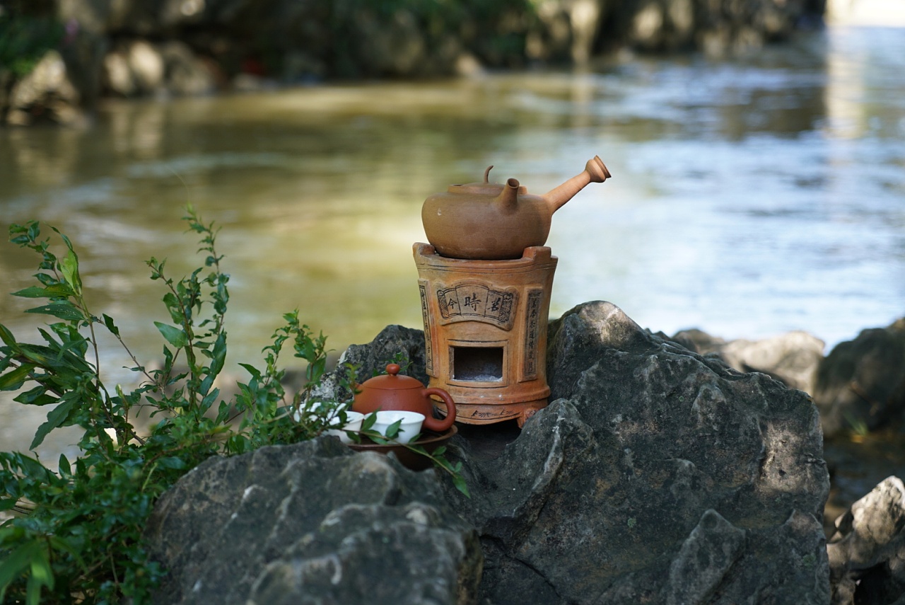 茗时今茶文化 户外工夫茶 相遇黄姚古镇茶会中国工夫茶