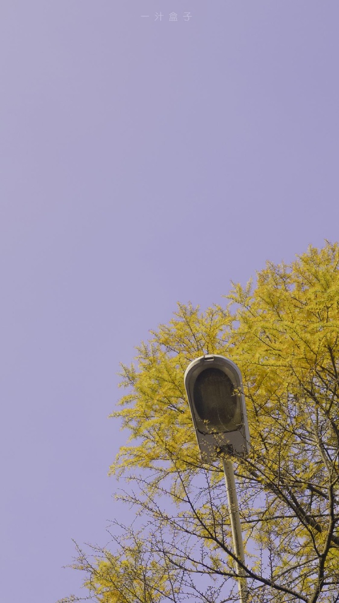 不是你的娃哈哈的個人主頁（背景預(yù)覽） - 主頁背景設(shè)置 - 站酷設(shè)計(jì)師不是你的娃哈哈原創(chuàng)素材 - 站酷ZCOOL