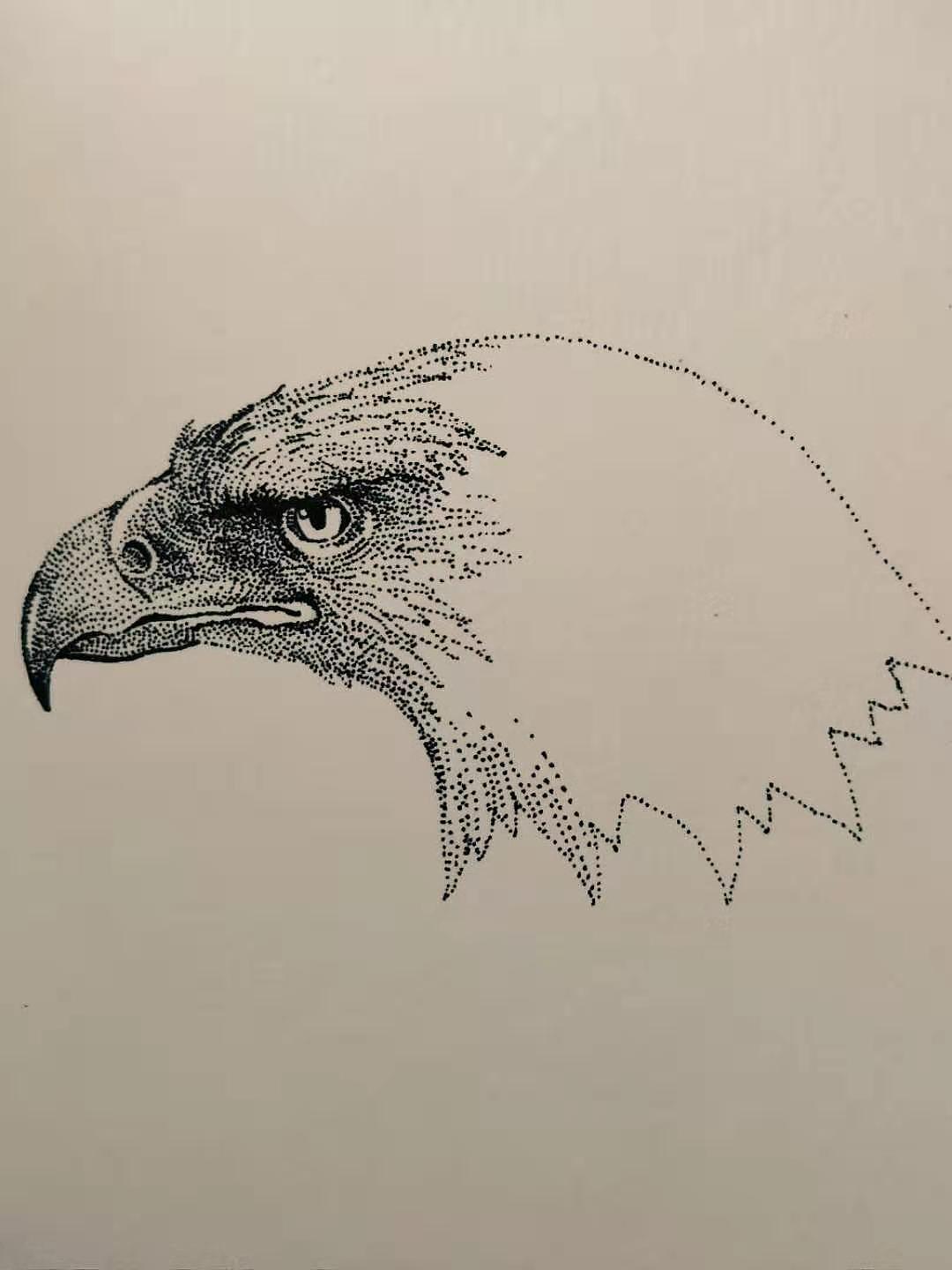 好久没有画画了 把玩一下