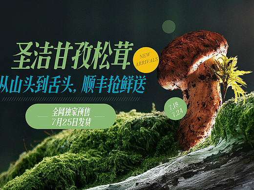 松茸专题活动