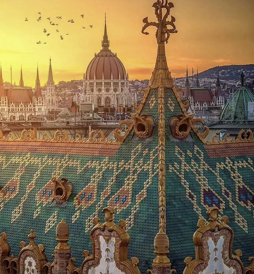 你改变不了阴影在哪里,但你可以选择在有阳光的地方。