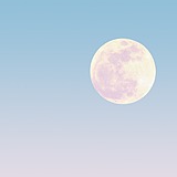 修图师阿伯的头像