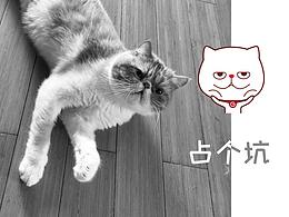 占坑