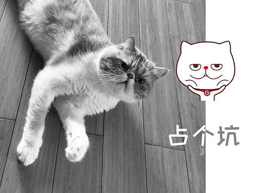 占坑