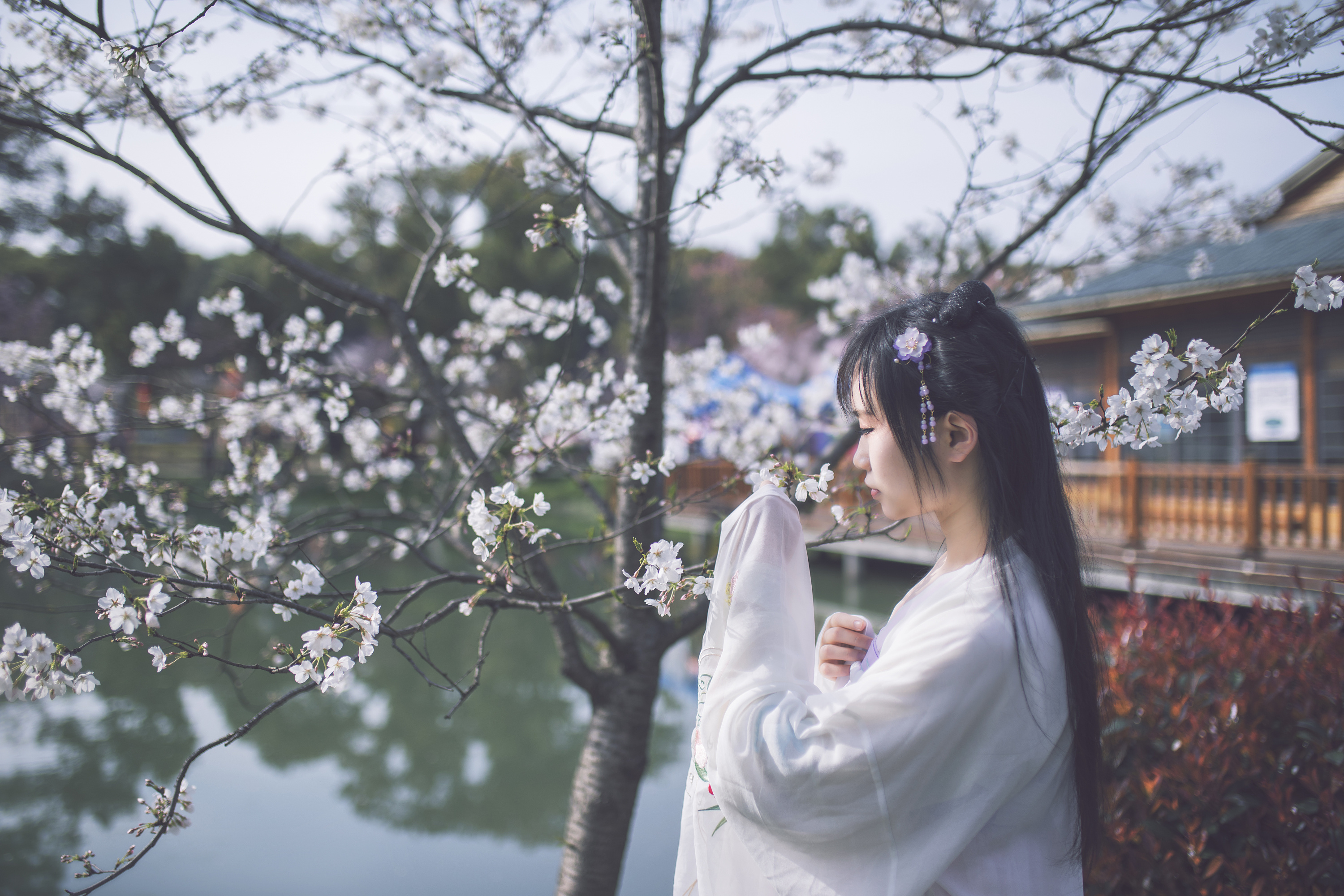 东湖樱花汉服拍摄
