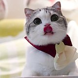 biubiubiuaa的头像