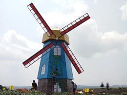 乡村振兴