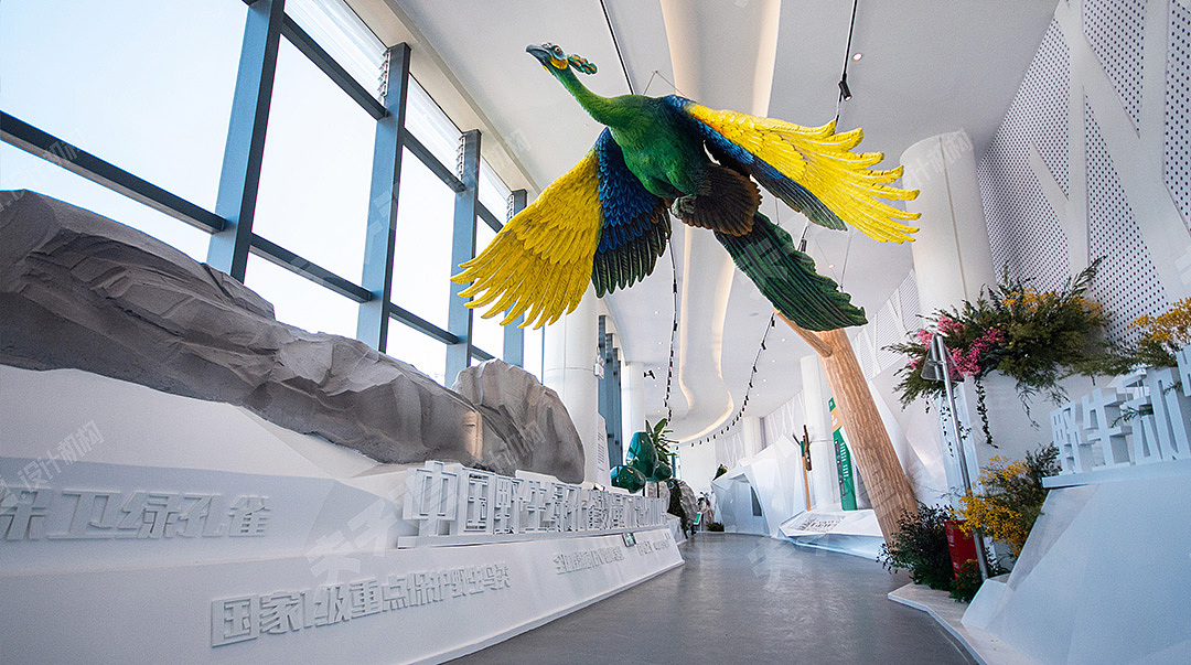 楚姚高速生物多样性展馆（图ZMjkxNjQxNDgw） - 展陈设计 - 站酷设计师夫子造设计机构原创素材 - 站酷ZCOOL