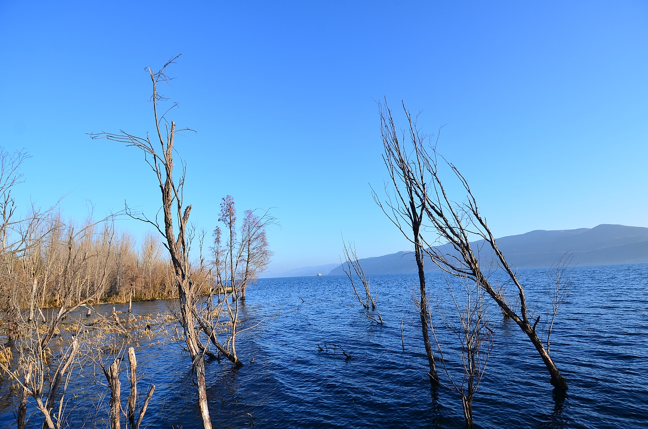 云南大理——龙龛（图ZNDA3MTI5NDg=） - 风光摄影 - 站酷设计师黑仔标本手工原创素材 - 站酷ZCOOL