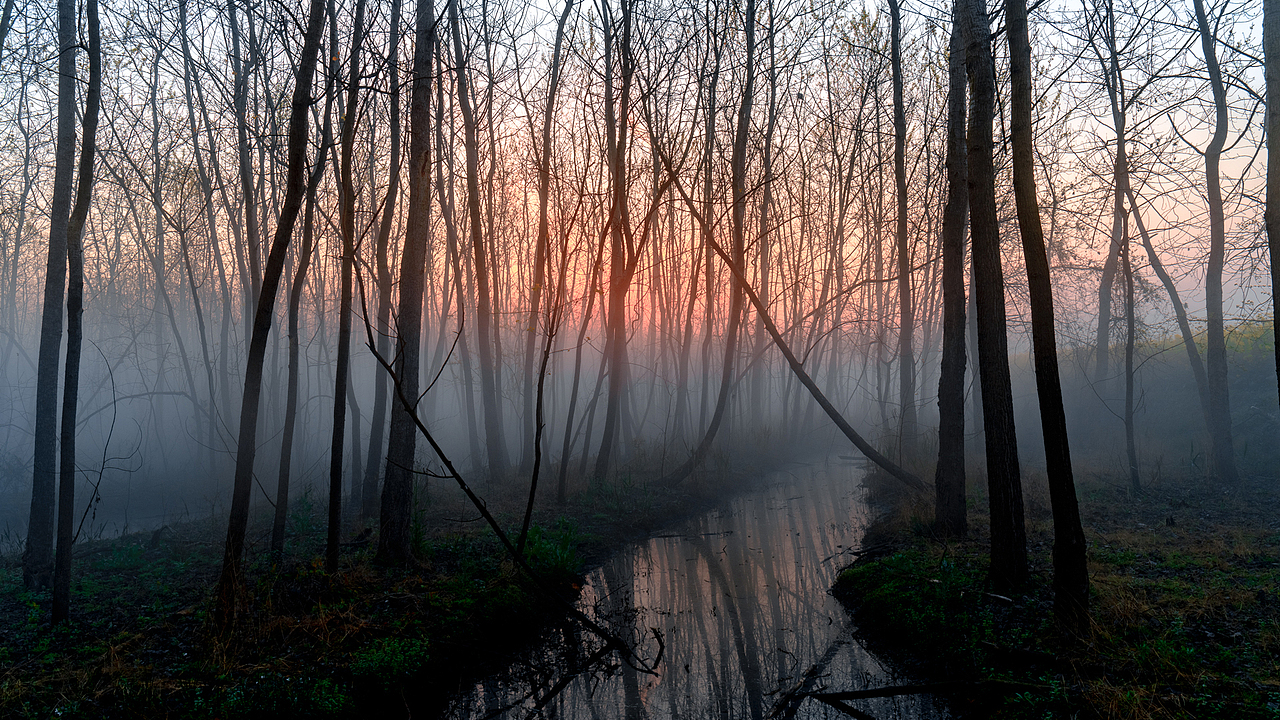 扬子江畔乡村风光——叁月晨雾