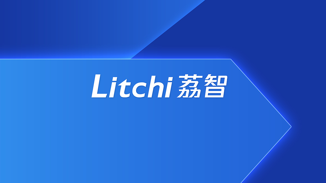 #Litchi荔智#-与您携手 共创美好明天-品牌LOGO（图ZMTk4ODQ5NDQ4） - 品牌 - 站酷设计师走来走去_原创素材 - 站酷ZCOOL