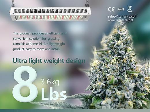 植物灯系列海报