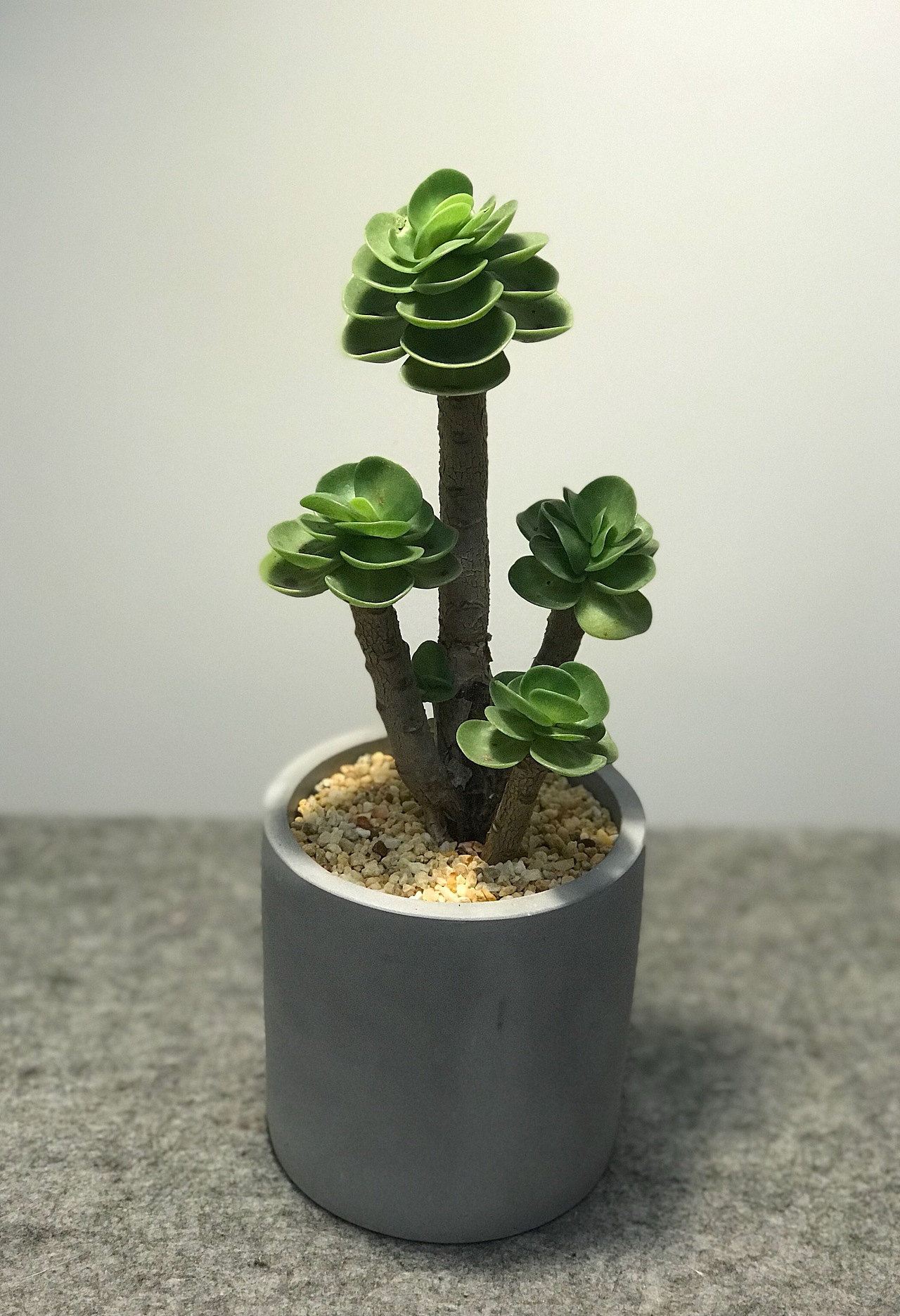 性空妙有-书法习作十四（图ZMTE1NjY0NTQw） - 书法 - 站酷设计师子鹿Milaky原创素材 - 站酷ZCOOL